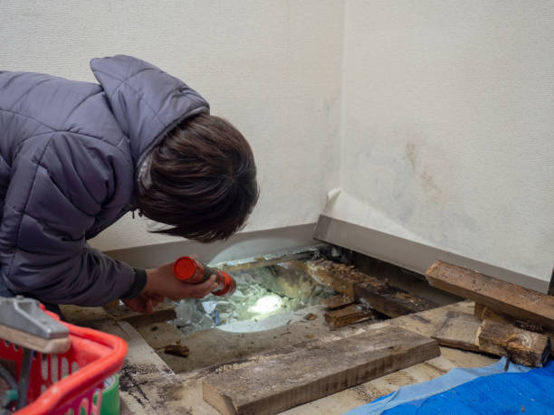Best Mold Remediation for Vacation Homes  in North Hudson, WI