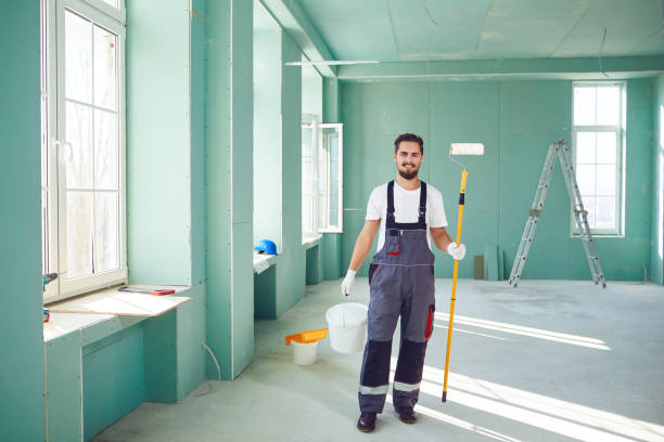Best Black Mold Removal  in North Hudson, WI