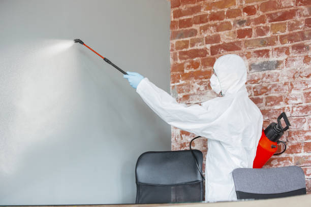 Best Mold Remediation for Healthcare Facilities  in North Hudson, WI