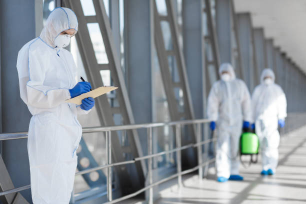  North Hudson, WI Mold Removal Pros