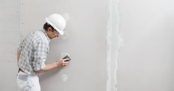 Best Mold Removal for HVAC Installations  in North Hudson, WI