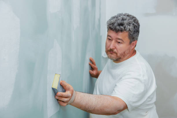 Best Water Damage & Mold Remediation  in North Hudson, WI