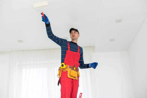 Mold Remediation for Vacation Homes in North Hudson, WI