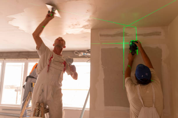 Best Attic Mold Removal  in North Hudson, WI