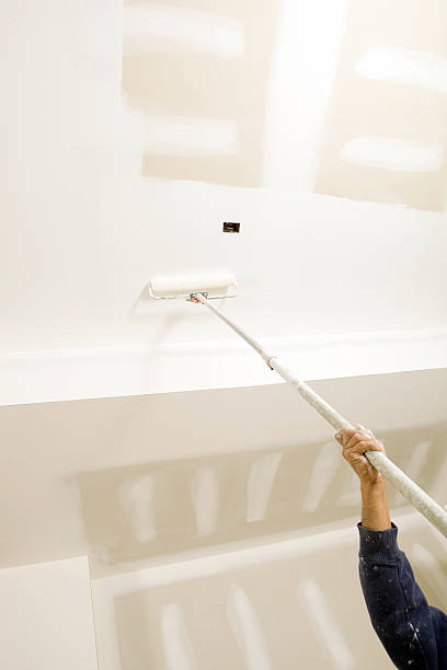 North Hudson, WI Mold Removal Company